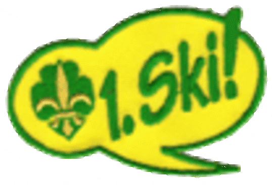 1. ski logo