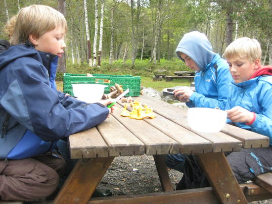 Lars, Øyvind og Markus rensker sopp de har funnet