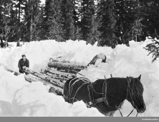 Vinter ringsaker